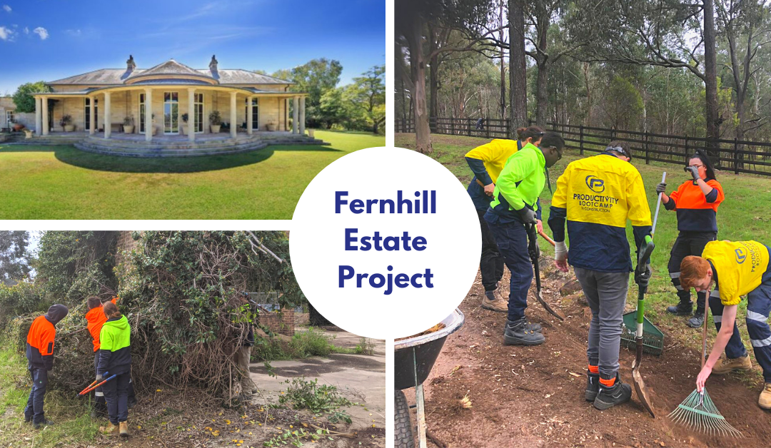 Fernhill Estate Project